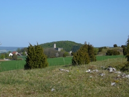 Ruine Niederhaus