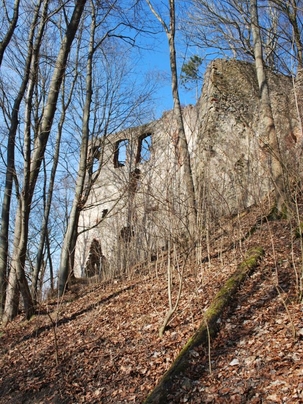 Burgruine Hochhaus